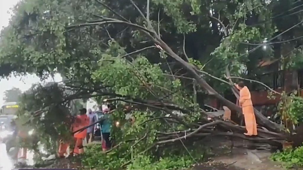 Pohon Tumbang Tutup Badan Jalan di Ciracas