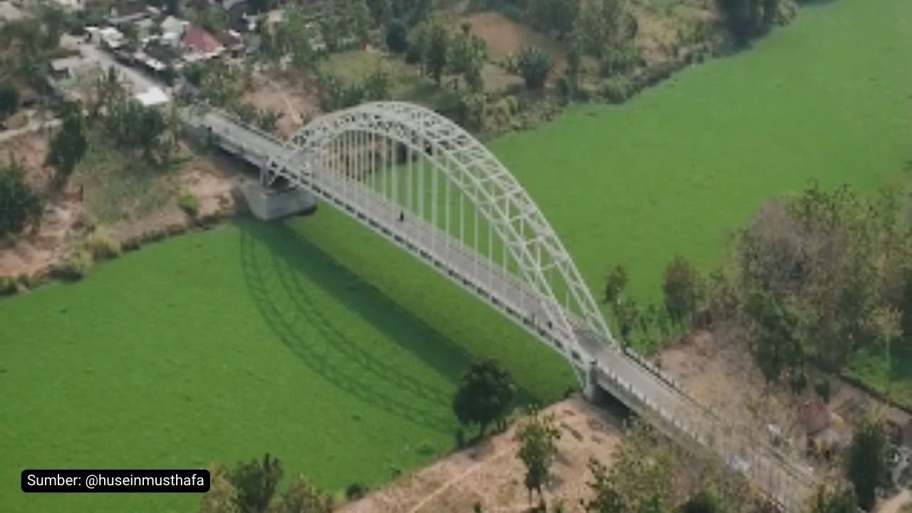 eceng gondok bengawan solo