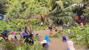 Tradisi Nirok Nanggok di Belitung Timur, Warisan Budaya Menangkap Ikan yang Masih Lestari