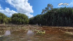Tebat Rasau Belitung Timur, Wisata Sungai Purba Berusia 65 Juta Tahun