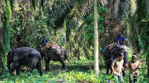 (Sumber : Instagram @bbksda_riau)