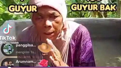 (Sumber : tangkapan layar tiktok)