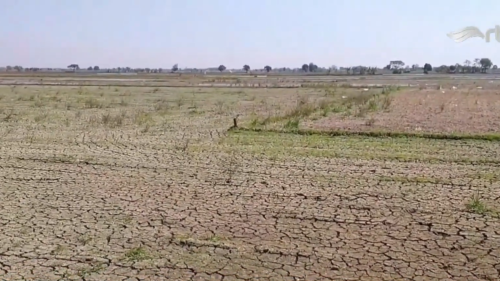 Desain tanpa judul (10)