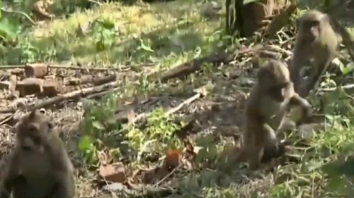 Desain tanpa judul (18)