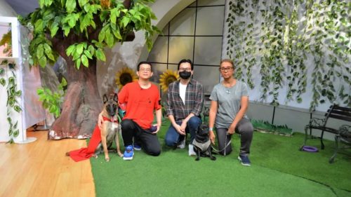 (Sumber : ig @funsmartacademy)